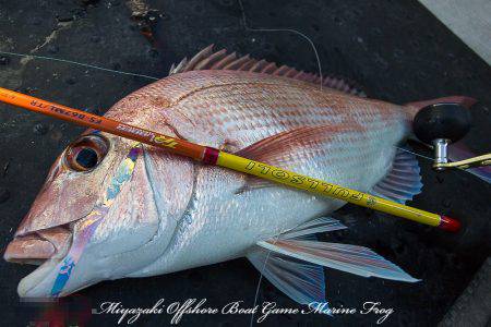 Marine Frog 釣果