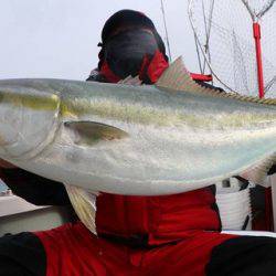 スカイマリン 釣果