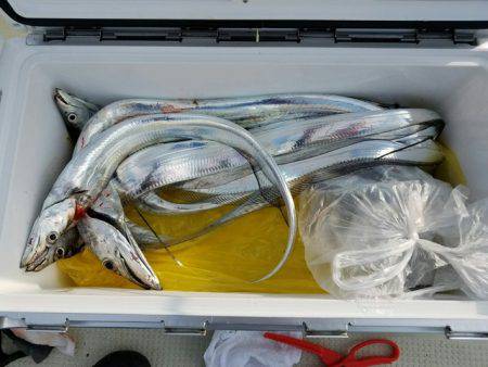 遊漁船　ニライカナイ 釣果