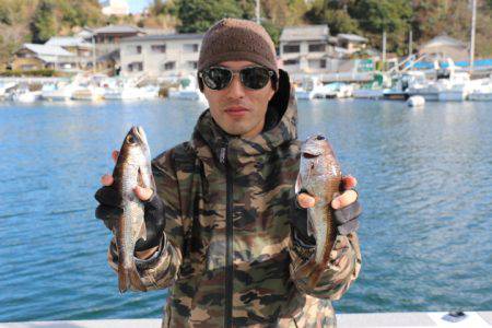 へいみつ丸 釣果