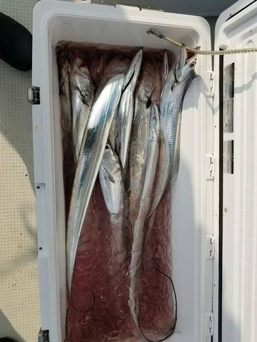 遊漁船　ニライカナイ 釣果