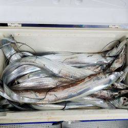 遊漁船 ニライカナイ 釣果