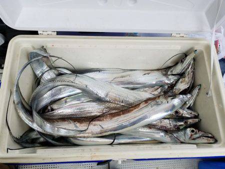 遊漁船 ニライカナイ 釣果