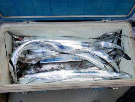 遊漁船　ニライカナイ 釣果