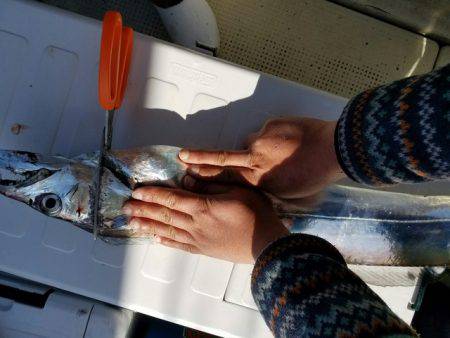 遊漁船　ニライカナイ 釣果