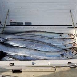 遊漁船　ニライカナイ 釣果