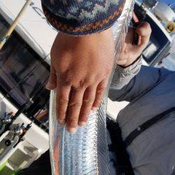 遊漁船 ニライカナイ 釣果