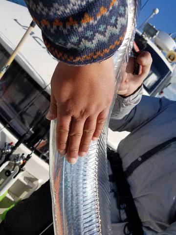 遊漁船 ニライカナイ 釣果