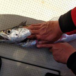 遊漁船 ニライカナイ 釣果