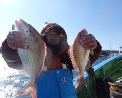 久里浜黒川本家 釣果