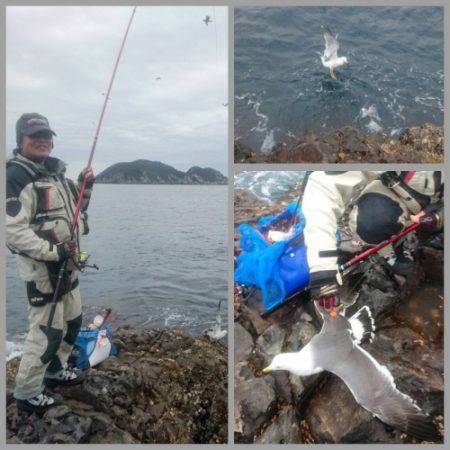 鵜来島家本渡船 釣果