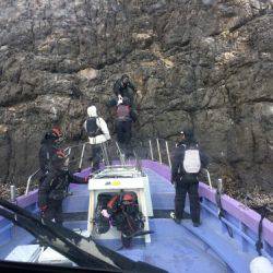 鵜来島家本渡船 釣果