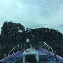 鵜来島家本渡船 釣果