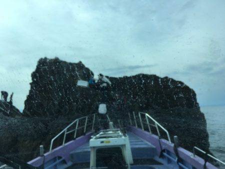 鵜来島家本渡船 釣果