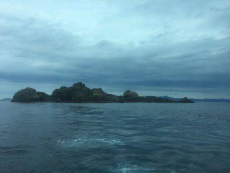 鵜来島家本渡船 釣果