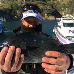 鵜来島家本渡船 釣果