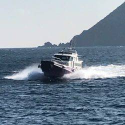 鵜来島家本渡船 釣果