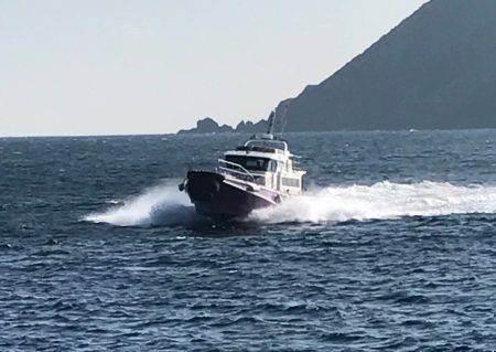 鵜来島家本渡船 釣果