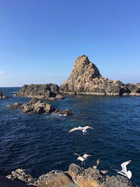 鵜来島家本渡船 釣果