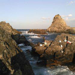 鵜来島家本渡船 釣果
