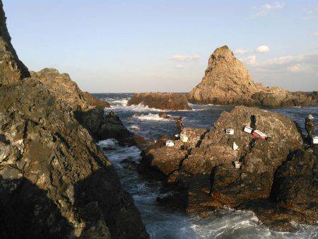 鵜来島家本渡船 釣果