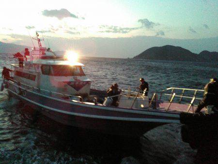 鵜来島家本渡船 釣果