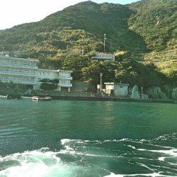 鵜来島家本渡船 釣果