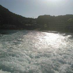 鵜来島家本渡船 釣果