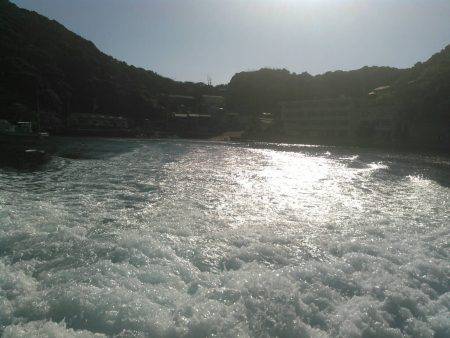 鵜来島家本渡船 釣果