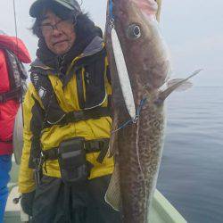 気仙沼　つり丸 釣果