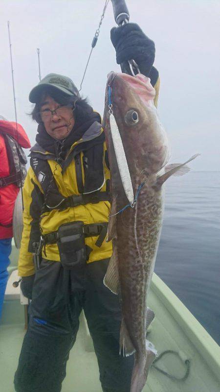 気仙沼　つり丸 釣果