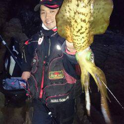 アオリイカ3連発！和歌山県串本大島の地磯で年末竿納め釣行【角田裕介氏連載記事浮きアオリイカ釣り 第3弾】