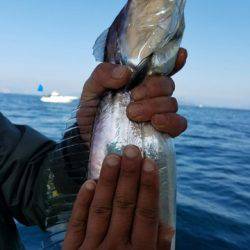 遊漁船　ニライカナイ 釣果