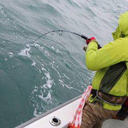 スカイマリン 釣果