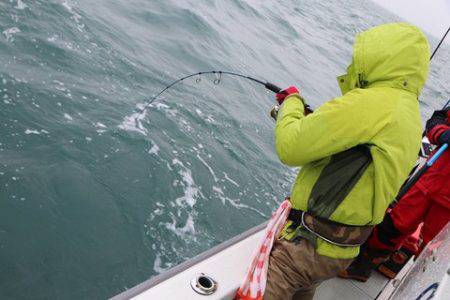 スカイマリン 釣果
