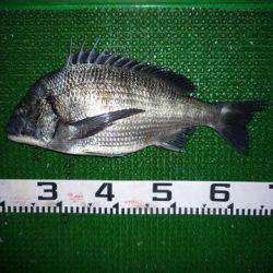 海山フィッシングセンター 釣果