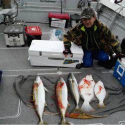 第二大福丸 釣果