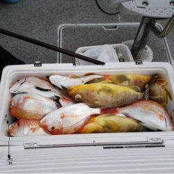 第二大福丸 釣果