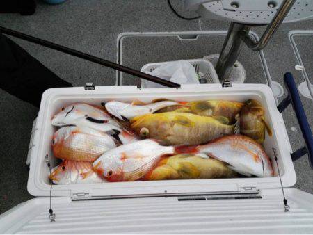 第二大福丸 釣果