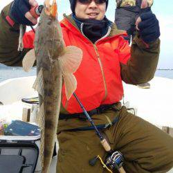 Magic(マジック) 釣果