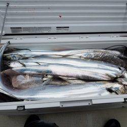 遊漁船 ニライカナイ 釣果