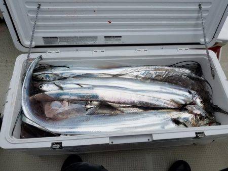 遊漁船 ニライカナイ 釣果