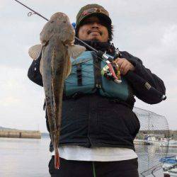 Magic(マジック) 釣果