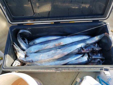 遊漁船 ニライカナイ 釣果