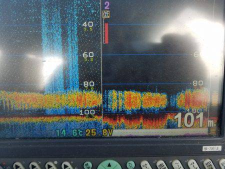 遊漁船 ニライカナイ 釣果