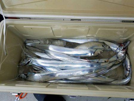 遊漁船　ニライカナイ 釣果