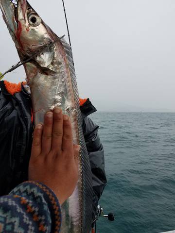 遊漁船 ニライカナイ 釣果