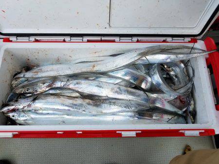 遊漁船　ニライカナイ 釣果