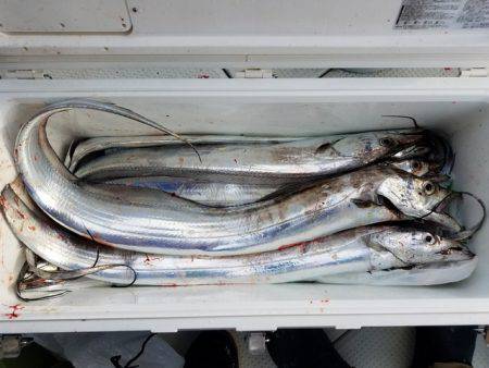 遊漁船　ニライカナイ 釣果