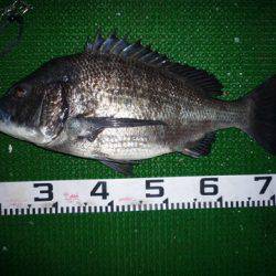 海山フィッシングセンター 釣果